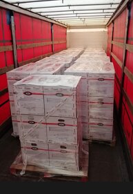 Elektrocentrála 3kW, generátor-Racing RAC 3100-A - 5