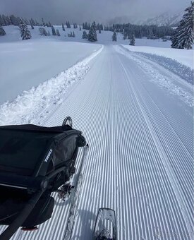 Thule Chariot Sport - 5