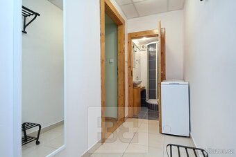 Zařízený 1+kk 27m2 v Nuslích, ev.č. N08007 - 5