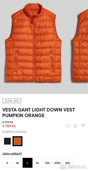 Vesta GANT vel.L - 5
