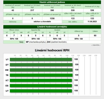 Plemenný býk Aberdeen Angus Black - 5