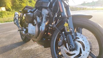 Harley Davidson XR 1200 - 5