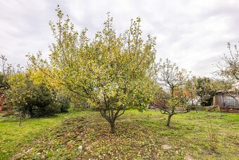 Prodej pozemky - zahrady, 379 m2 - Plzeň, ev.č. 00541 - 5
