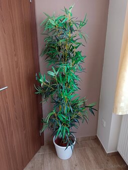 Uměle velké květiny - 5