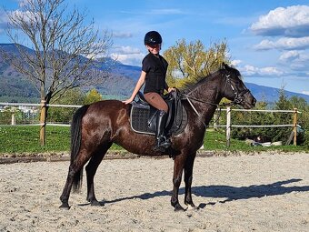 Pony kobylka - 5