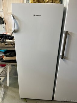Lednice HISENSE RL313D4AWE - 5
