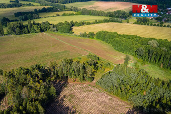 Prodej ovocného sadu v Morašicích - 5