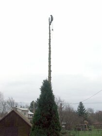 Kácení a ořezy stromů Uherskobrodsko - 5