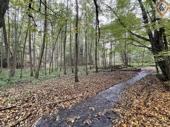 Prodej lesa o výměře 8 326m2 - 5