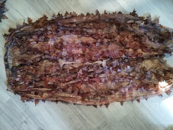 Leaf suit - 5