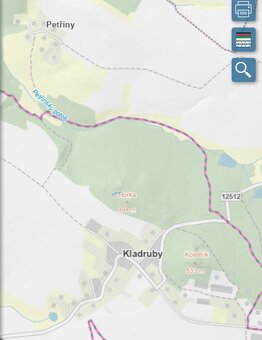 Lesní pozemek Kladruby u Vlašimi - 5