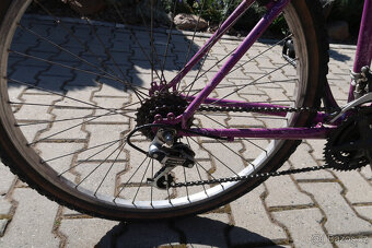 Horské kolo Starlight Swing - 5