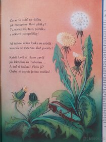 Vonička - Básničky o květinách - Ilustrace - Retro - Dětské - 5
