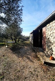 Kamenný dům s olivovým sadem - 5