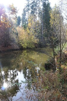 Pronájem zahrady 1454m² - České Budějovice - 5