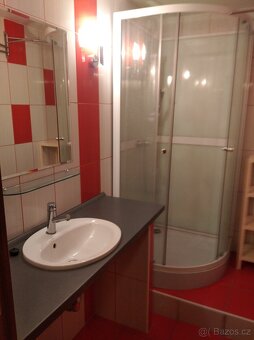 Pronajmu byt 2+1 - 5