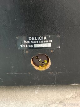Delicia 30W - 5