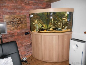 Juwel akvarium - 5