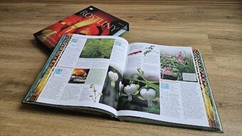 Krásná encyklopedie ROSTLINY, Knižní klub - 5