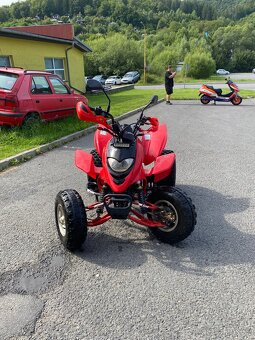 Shineray stxe 250 STK 2028 - 5