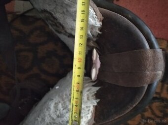 Westernové sedlo - 5