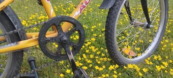 Author Energy 20" - 5