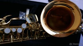 ALT SAXOFON ELKHART SERIES II//POUZDRO - 5