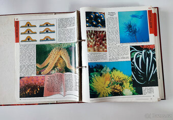 Šanony sběratelské Planeta Zemeě - 8 kusů - 5