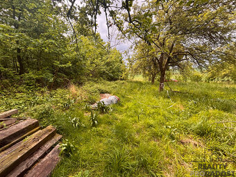 Prodej zahrady s chatou, zahrada 2856m2 , chata 2+kk, Byst - 5