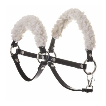 Hobby horse Dalmatine
- 5