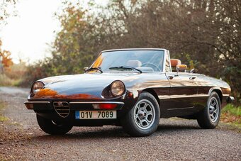 Alfa Romeo Spider - 5