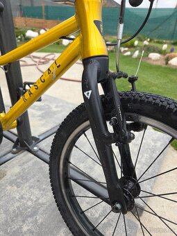 Rascal.16 zlaté - 5