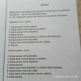 Portfolio společenských a latinskoamerických tanců - 5