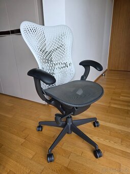 Herman Miller Mirra - 5