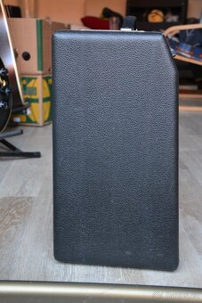 TAD Deluxe Reverb handwired - 5