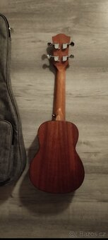 Ukulele Cascha - 5