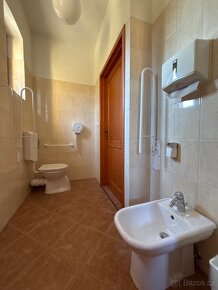 Pronájem komerčního prostoru - 5