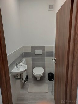 Pronajmu byt 3+kk - 5