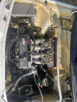 Felicia závodní - 5