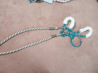 Hobby horse - 5