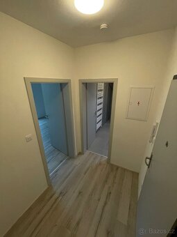 Pronájem bytu 1+kk 30 m² se zahradou 56 m², Plzeň Litice - 5
