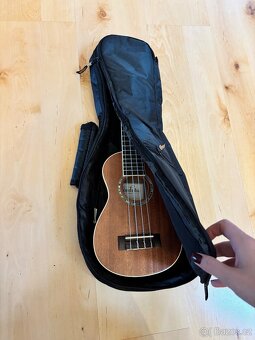 Cordoba ukulele 15SM + obal rockbag - 5