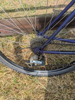 Pánské horské kolo 26 - 5