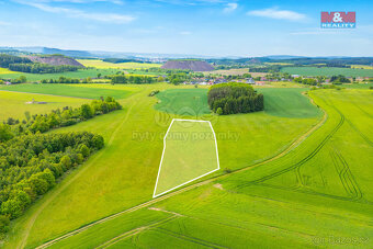 Prodej louky, 10193 m², Lešetice - 5