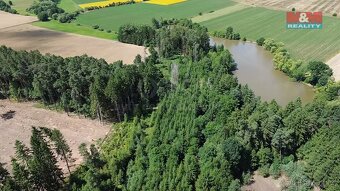 Prodej lesa, 5323 m², Olší u Opařany - 5