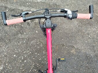 Scott contessa 24 - 5