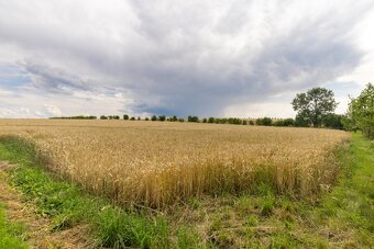 Prodej stavební pozemek, Vražné - 5