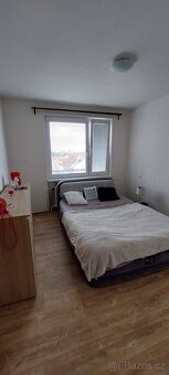 Pronájem byt 3+1 Zelené předměstí Pardubice - 5