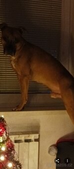 Nabídka je krytí - 5