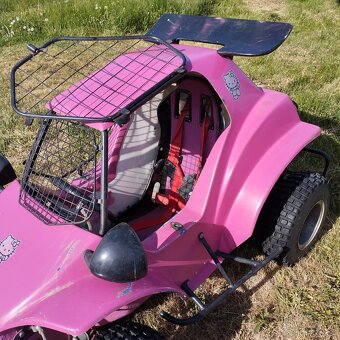 HAVEL BUGGY - 5